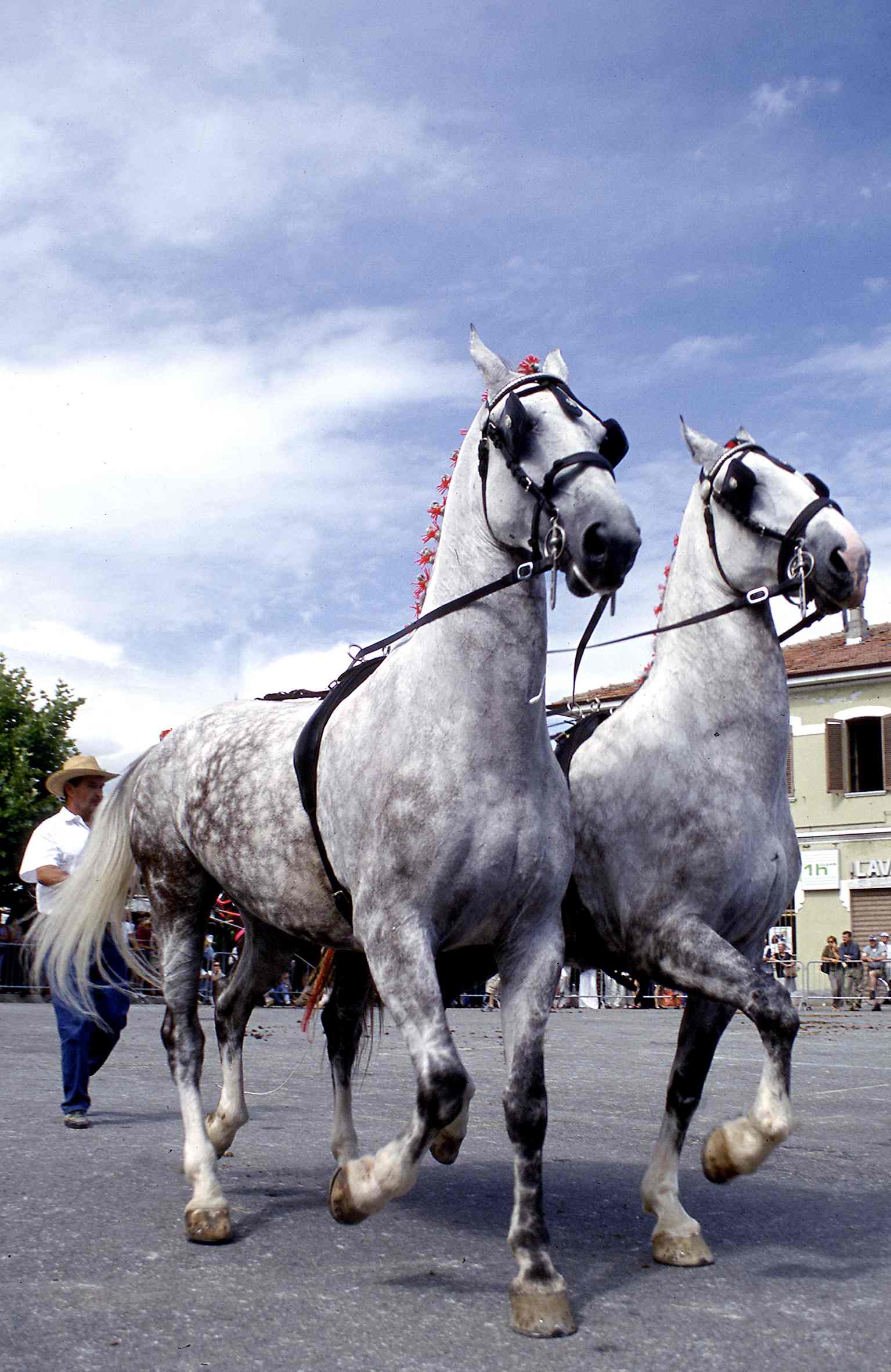 FESTA PATRONALE DI SAN SAVINO IVREA Anfiteatro Morenico Ivrea