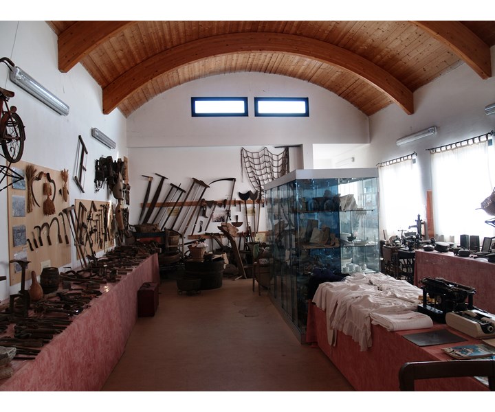 Museo Vischorum