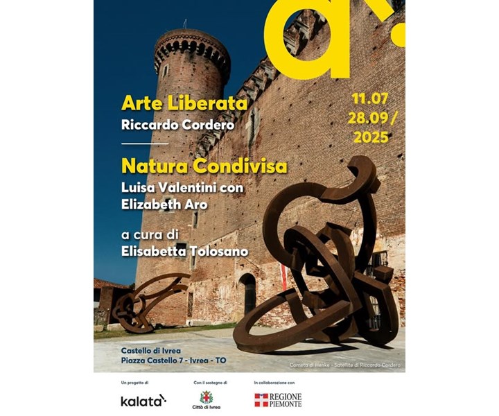 ARTE LIBERATA