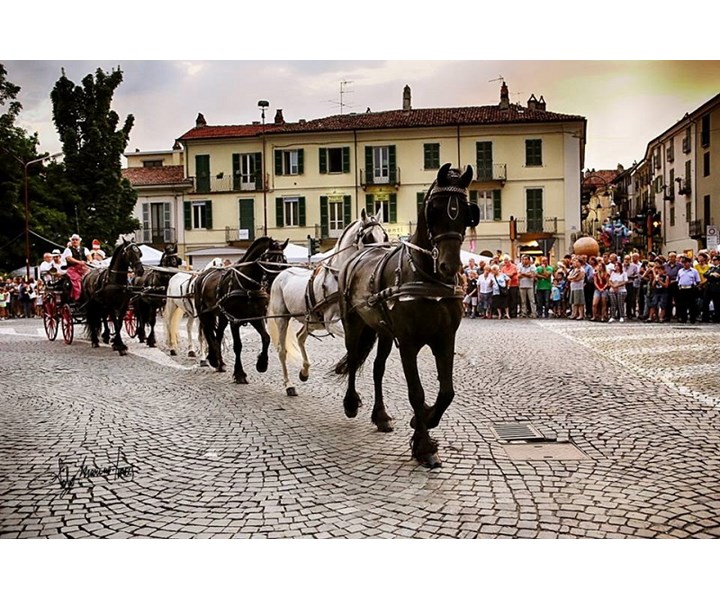 FESTA PATRONALE DI SAN SAVINO