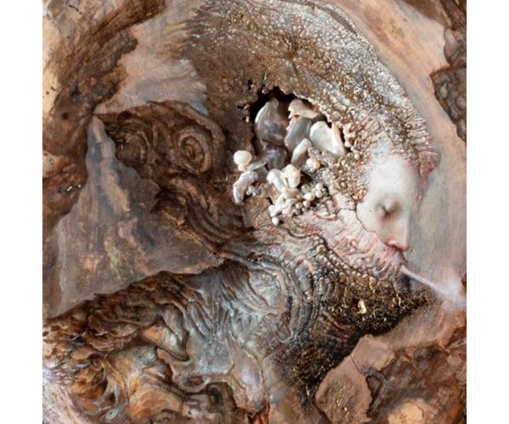 VISITAZIONI DI AGOSTINO ARRIVABENE