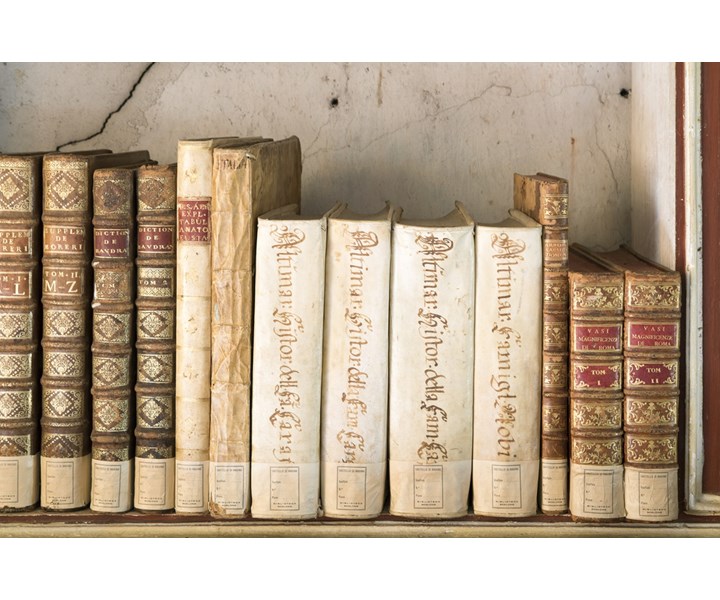 CONVERSAZIONI AL CASTELLO DI MASINO. ARCHIVIO, BIBLIOTECA E COLLEZIONI SI RACCONTANO