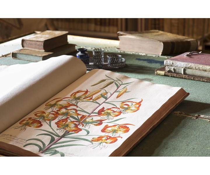 CONVERSAZIONI AL CASTELLO DI MASINO. ARCHIVIO, BIBLIOTECA E COLLEZIONI SI RACCONTANO