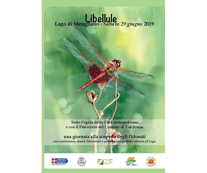 LIBELLULE - LAGO DI MEUGLIANO