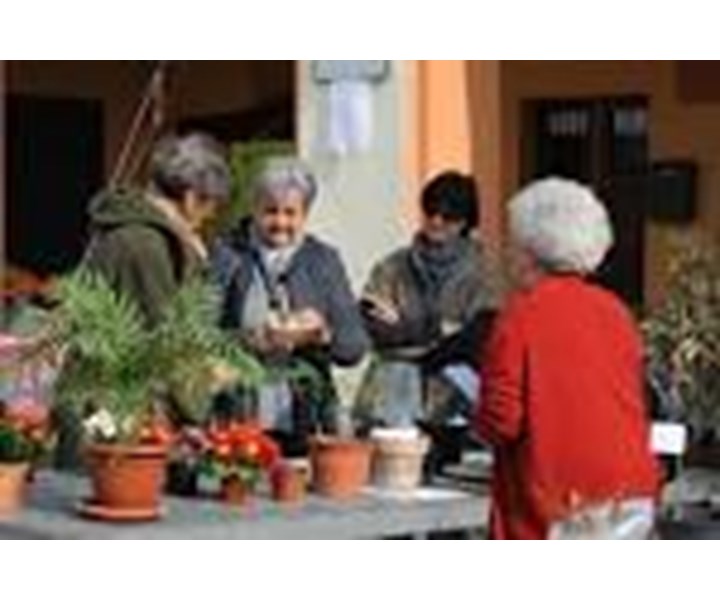 SCAMBIO DI PIANTE e di oggetti