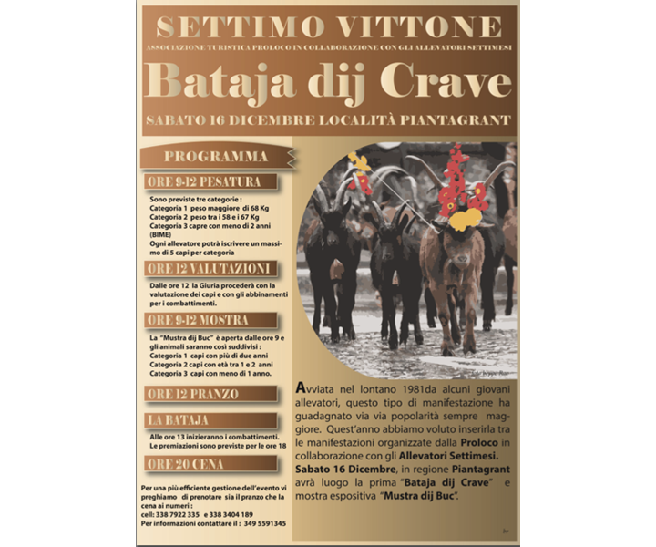 BATAJA DIJ CRAVE - SETTIMO VITTONE