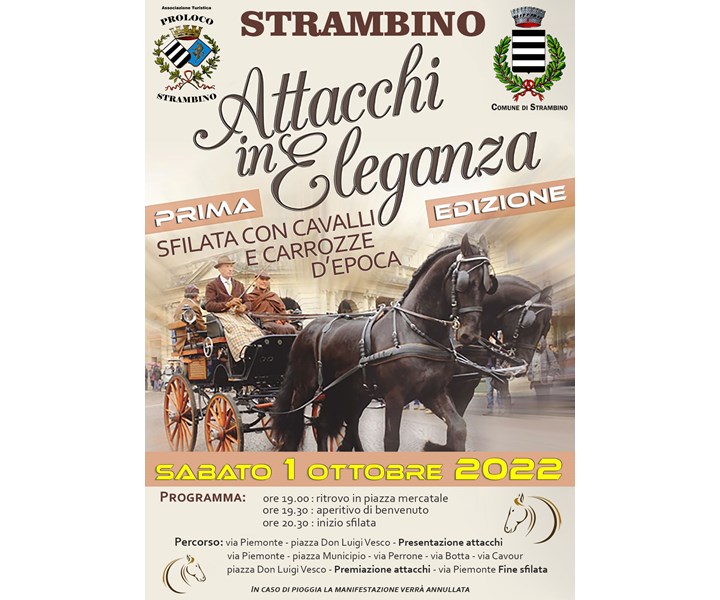 STRAMBINO IN FABULA - MOSTRA MERCATO DELL’ARTIGIANATO
