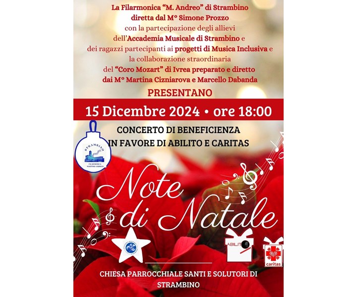 IL VILLAGGIO DI BABBO NATALE A STRAMBINO