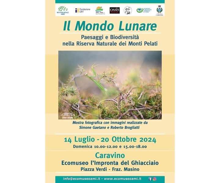 IL MONDO LUNARE